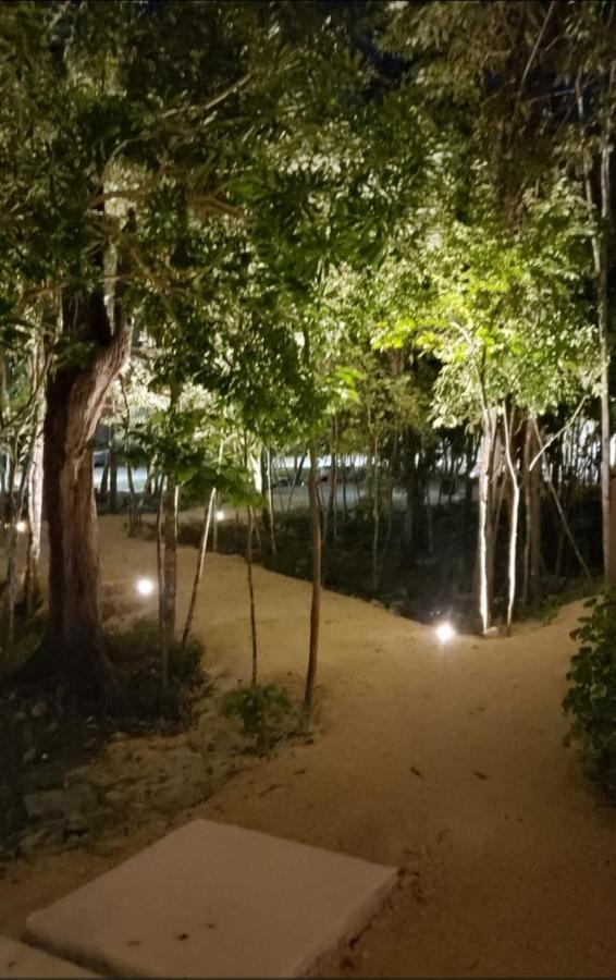 Natura * Playa del Carmen