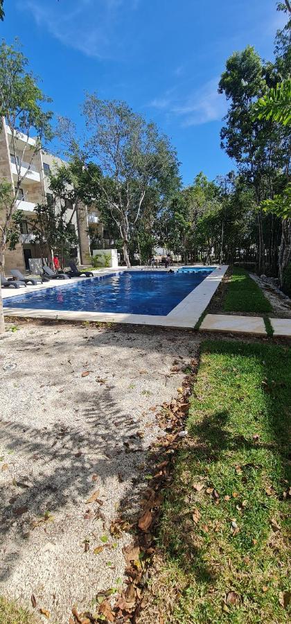 Natura * Playa del Carmen